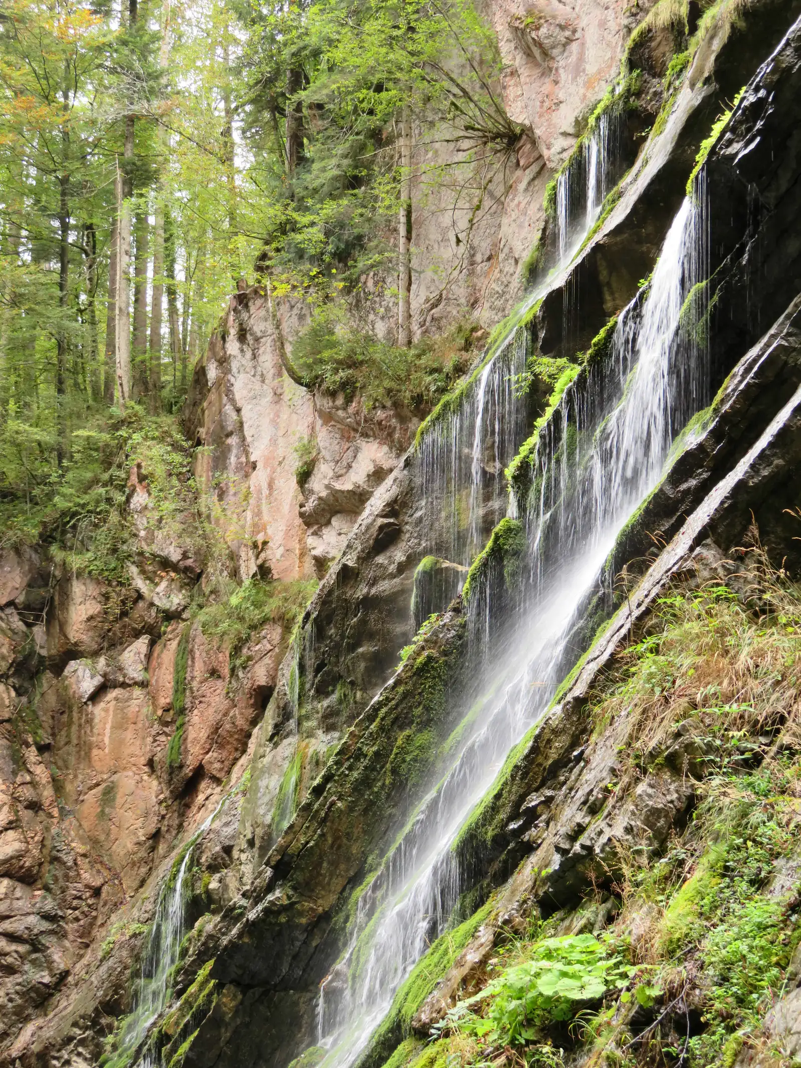 Schichtquellen in der Wimbachklamm im Nationalpark Berchtesgaden