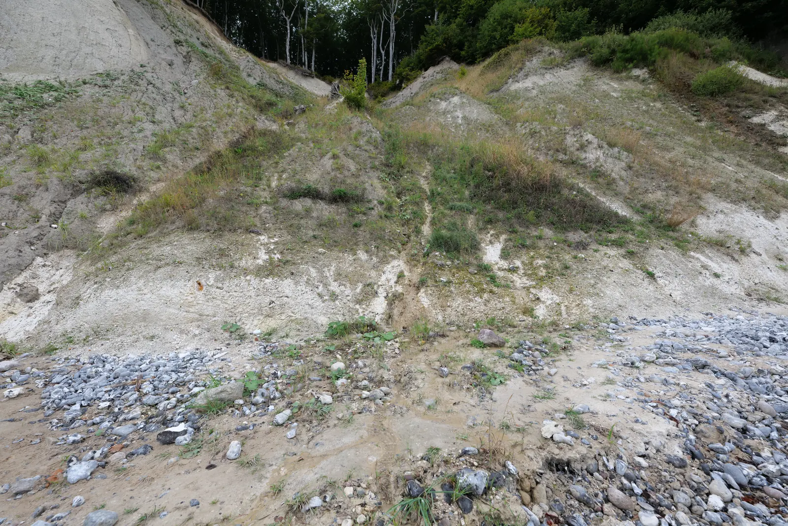 Abgebrochenes Gestein am Fuß der Kreidewand