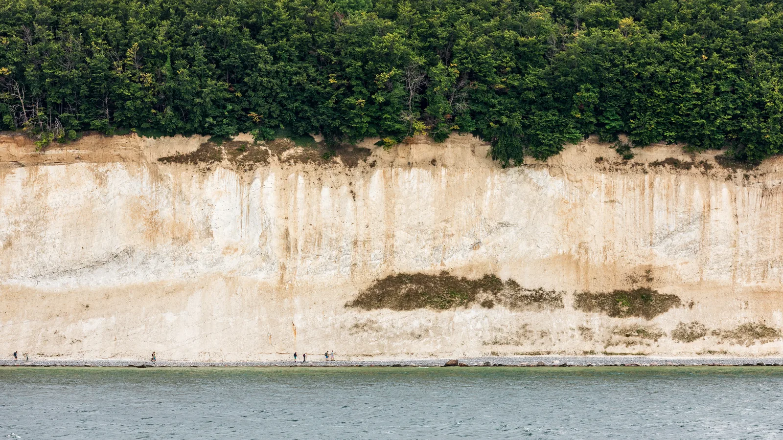 Das Wissower Ufer mit weißer Kreidewand