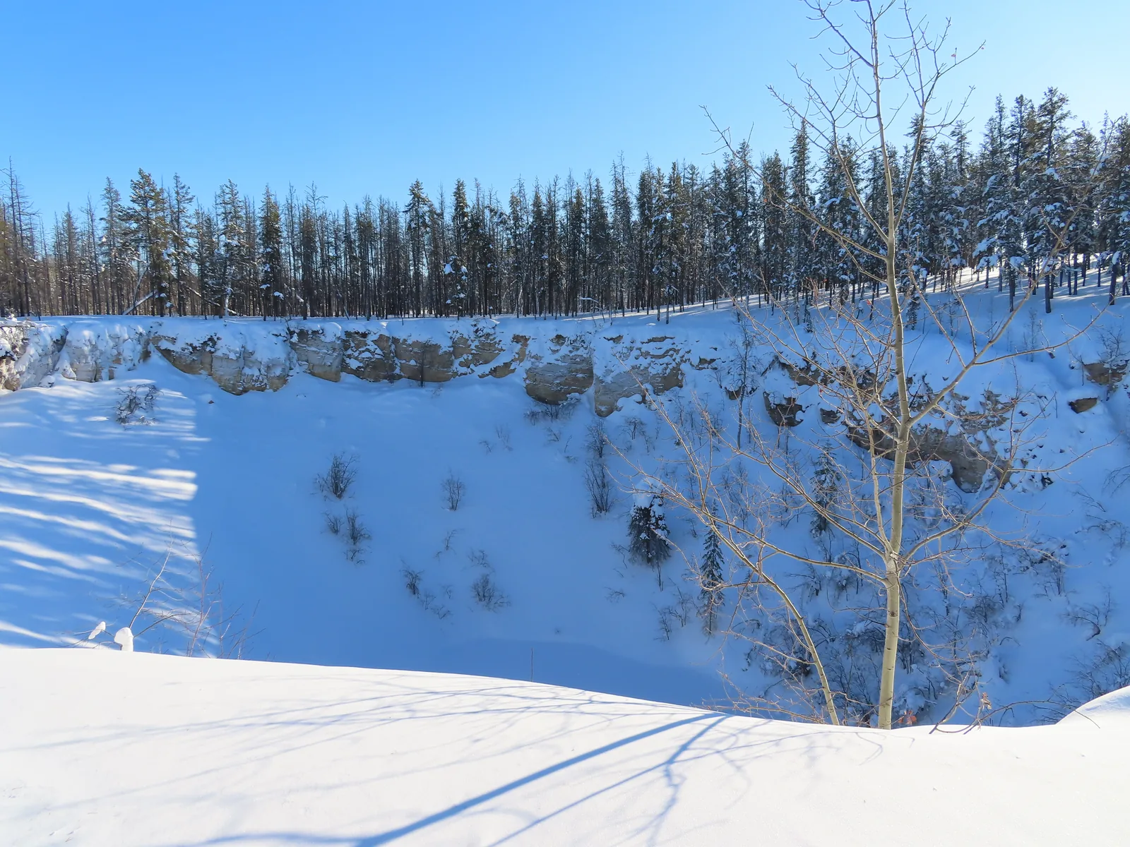 Ein tiefer, schneebedeckter Karsttrichter mit steilen Wänden, am Rand kahle Espen und Nadelwald unter blauem Winterhimmel