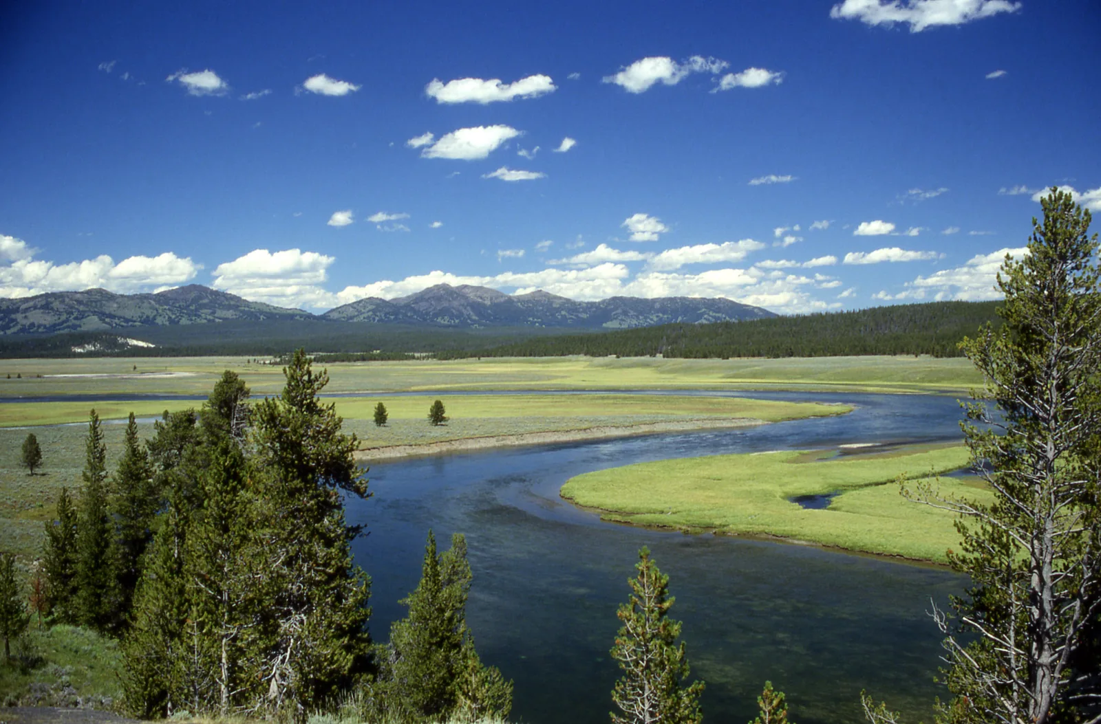 Der Yellowstone River windet sich in weiten Schleifen durch ein offenes Grastal, am Horizont bewaldete Höhen