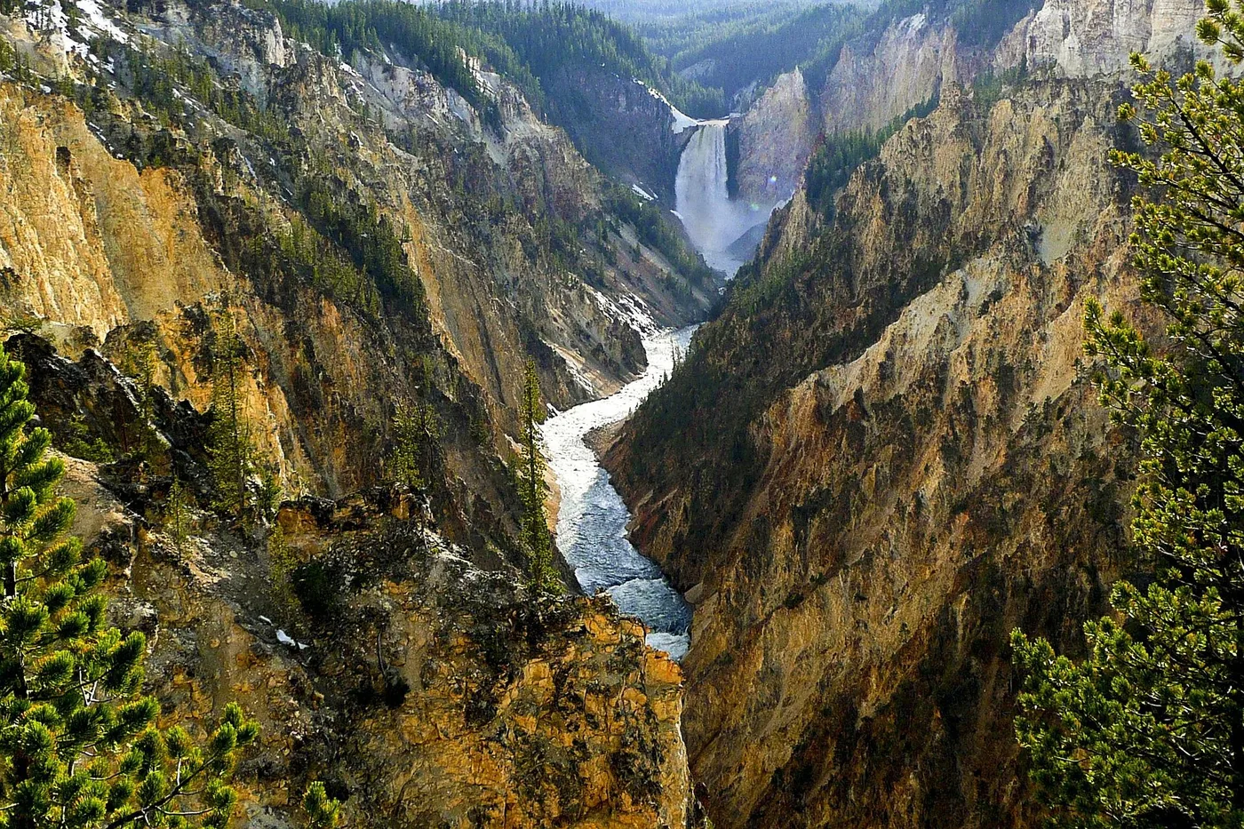 Angebotsfoto: Ab West Yellowstone: Tagestour mit Parkeintritt