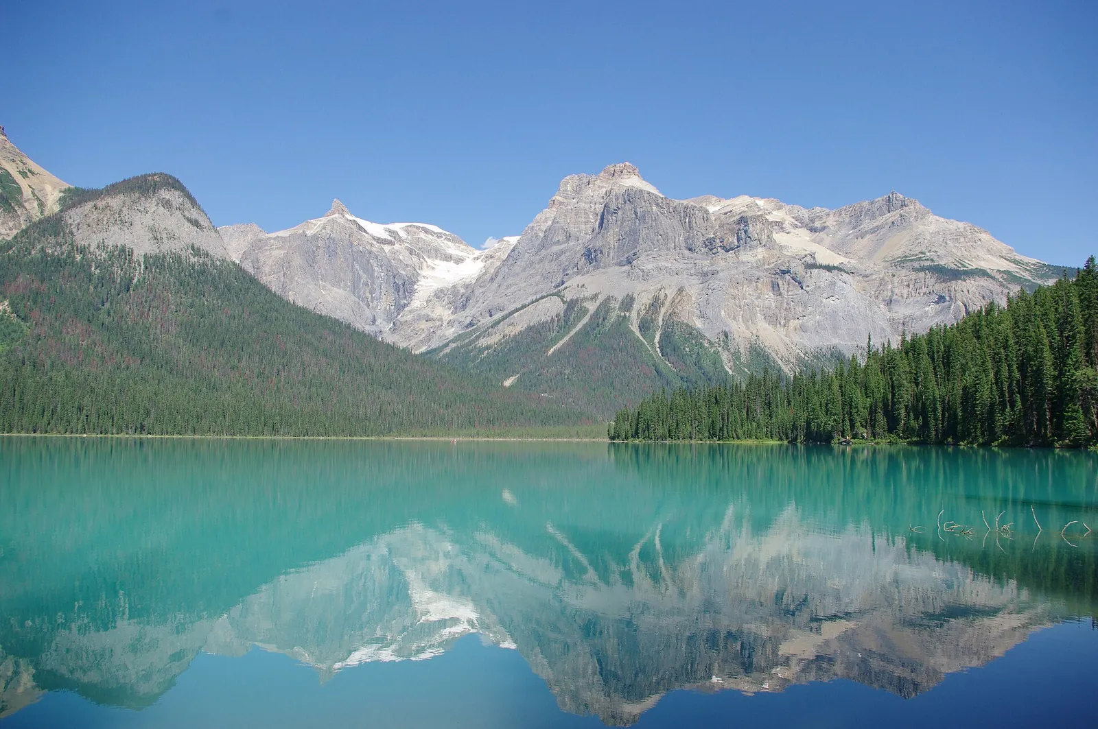 Der türkisgrüne Emerald Lake im Yoho-Nationalpark spiegelt bei Windstille die Gipfel der President Range, rechts dichter Nadelwald am Ufer.