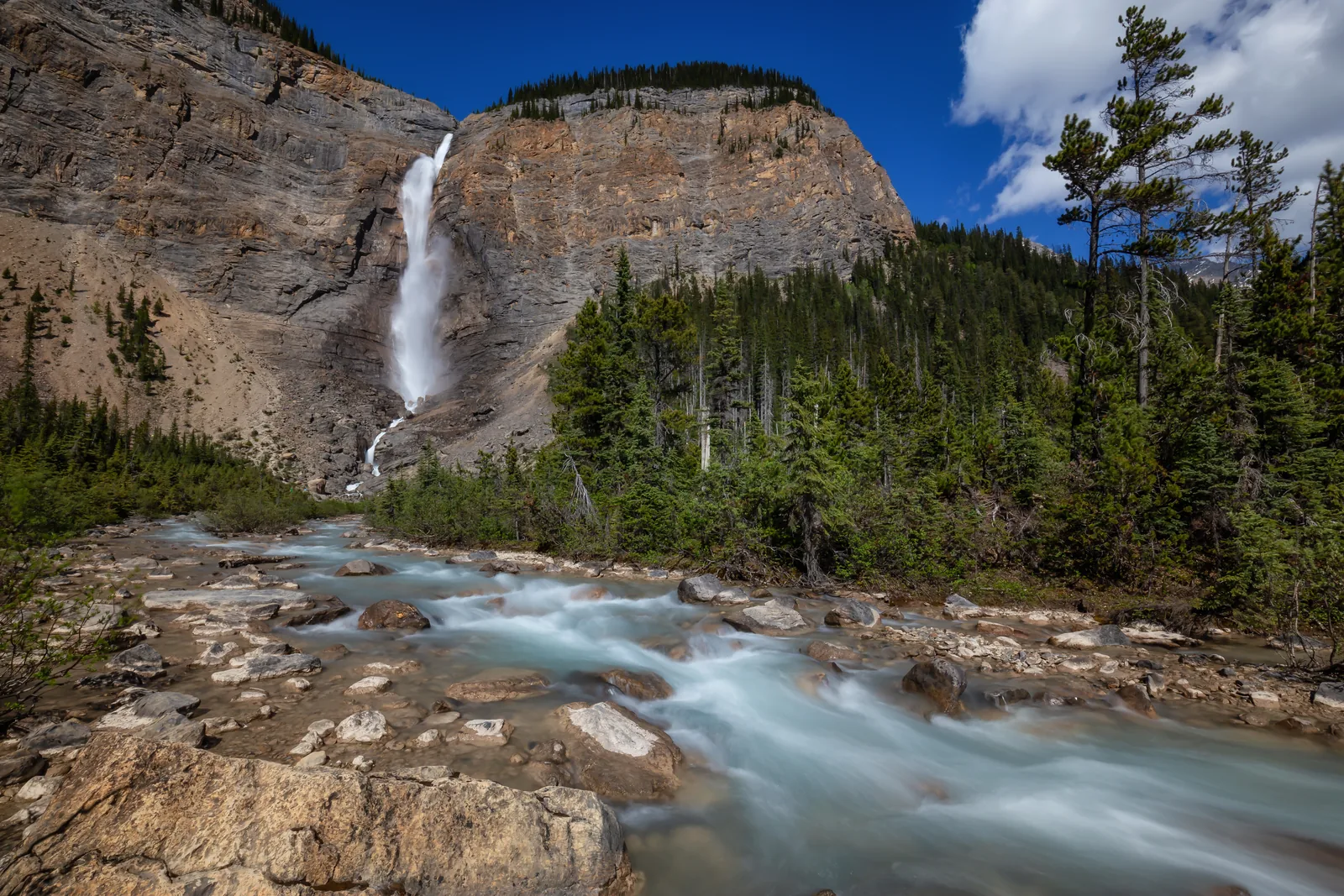 Die Takakkaw Falls im Yoho-Nationalpark stürzen über eine hohe Felswand ins Yoho Valley, unten Nadelwald und Geröll.