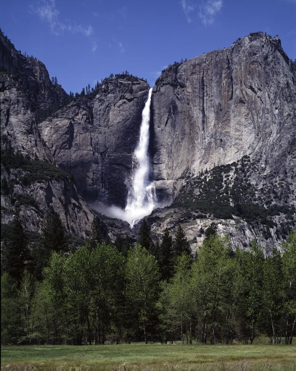 Der Yosemite Fall stürzt in einer weißen Kaskade über eine dunkle Granitwand, davor grüne Laubbäume und eine Wiese