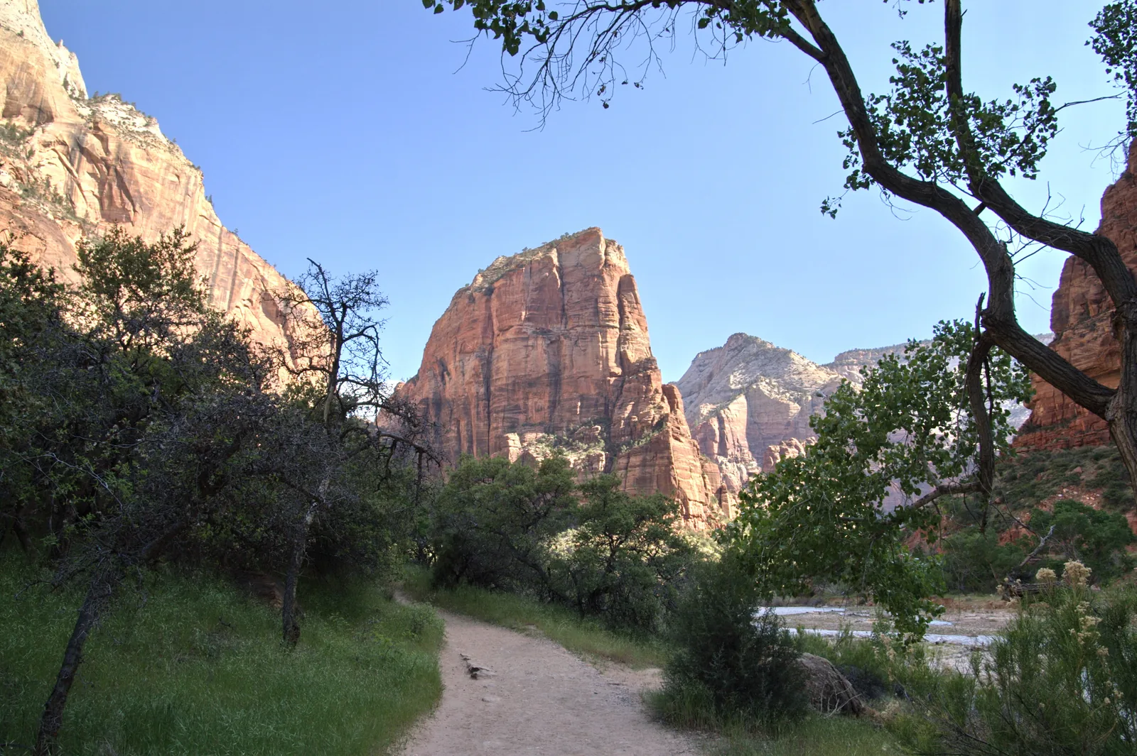 Der freistehende Felsklotz von Angels Landing über dem grünen Talboden, davor ein Sandweg